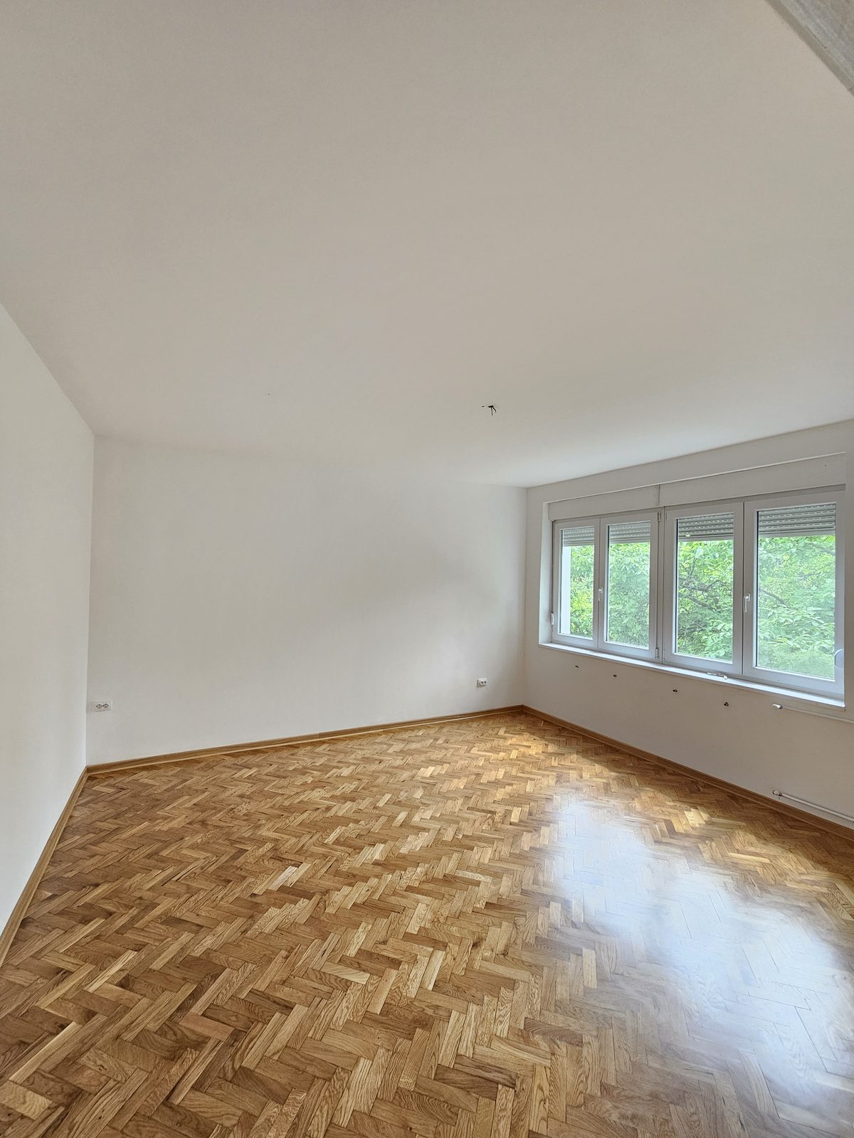 Molerski radovi - projekat 18
